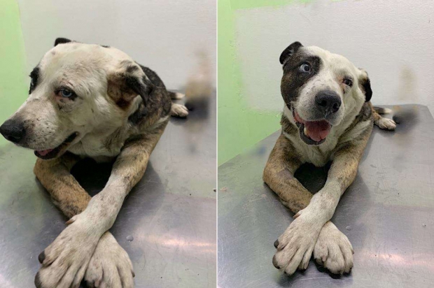 토미는 세 여성 덕분에 웃음을 되찾았다.