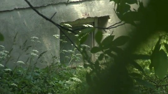 ‘폴란드의 괴물’로 불리는 남성이 아내를 약 5년 간 가둔 지하창고