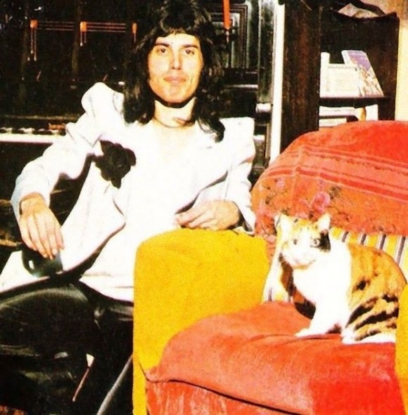 프레디 머큐리와 그의 반려묘 제리.