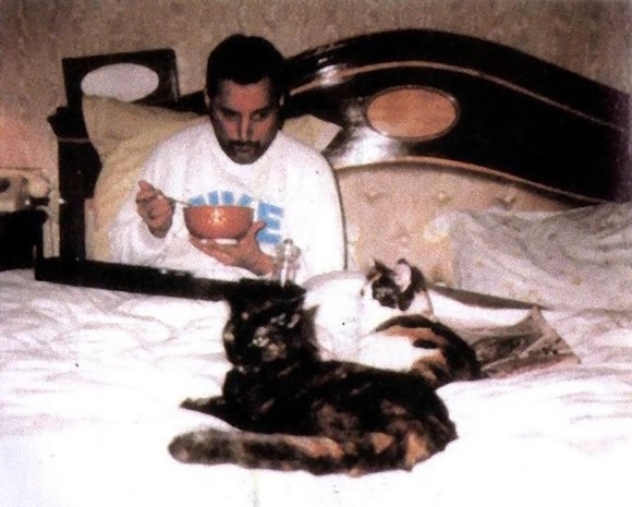 프레디 머큐리와 그의 반려묘 미코(왼쪽), 딜라일라.