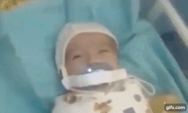 인스타그램에 공개된 영상.