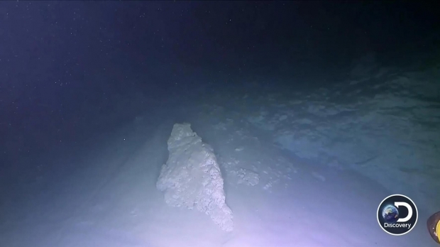 그레이트 블루홀 바닥에도 플라스틱 쓰레기가 널브러져 있는 것으로 나타났다.