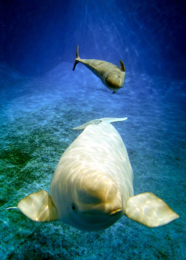 사진=신화통신 연합뉴스