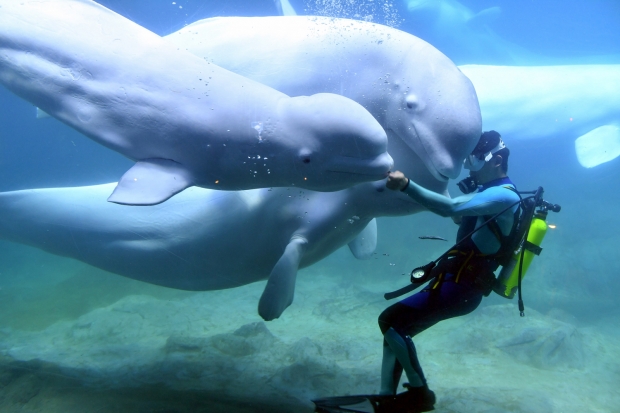 사진=신화통신 연합뉴스