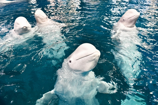 사진=신화통신 연합뉴스