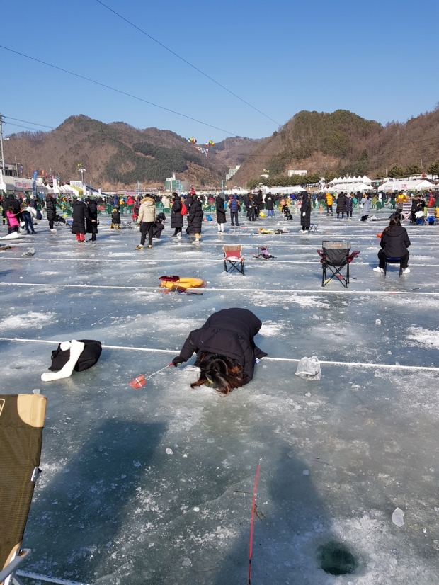 낚시는 운칠기삼이다. 얼음 구멍을 하루 종일 들여다 보아도 한 마리도 못 낚을 수도 있다