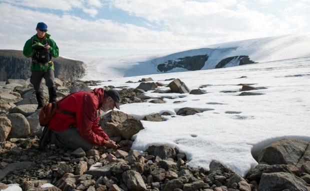 사이먼 펜들턴(왼쪽)과 기포드 밀러(오른쪽)는 오늘날 북극의 온난화에 대한 배경을 찾기 위해 배핀섬 빙하가 녹아 드러난 땅에서 고대 식물들을 수집했다(사진: 매튜 케네디/지구 비전 연구소)