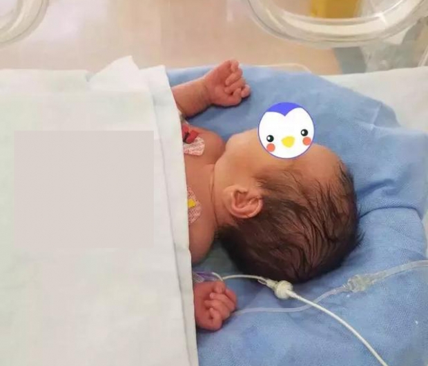 샤오잉이 식물인간 상태에서 출산한 딸은 다행히 건강하게 자라고 있다