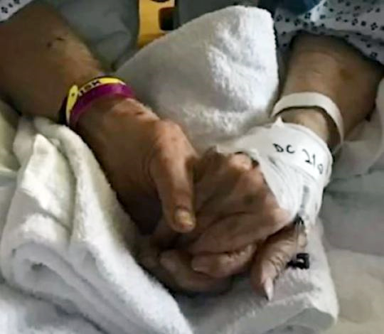 크리스틴 할머니는 마지막까지 남편 조셉 할아버지의 손을 꼭 잡은 채 죽음을 맞이했다