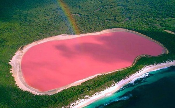 호주 힐리어 호수의 모습