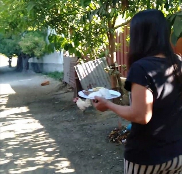 게임 중독의 아들에게 직접 아침을 배달하는 어머니