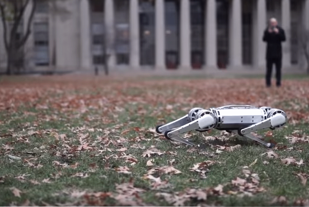 미니 치타 로봇