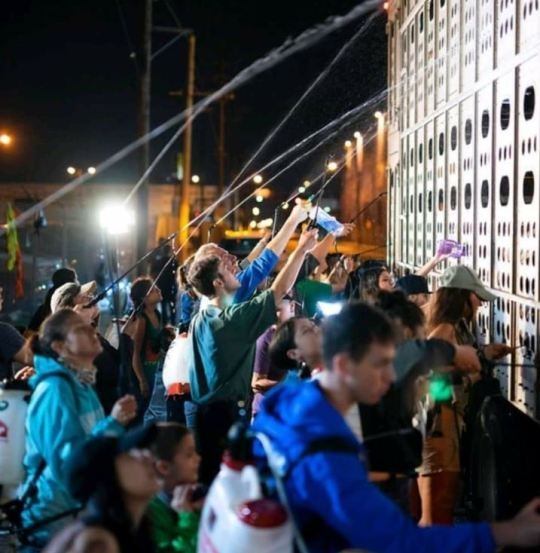 도축장으로 끌려가는 돼지를 실은 트럭 앞에서 돼지들에게 물을 나눠주고 있는 사람들
