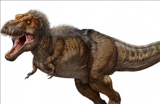 뉴욕 자연사박물관이 공개한 티라노사우루스