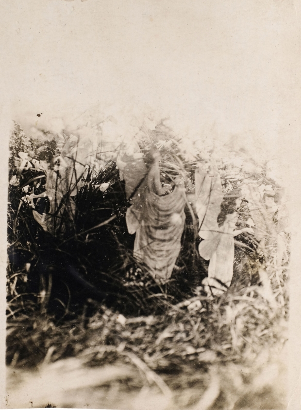 프랜시스 그리피스는 1920년 자신이 찍은 다섯 번째 사진만큼은 우연히 찍힌 진짜라고 죽기 전까지 주장했다.