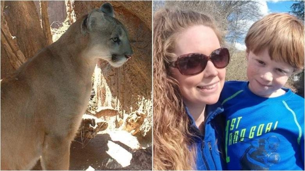 퓨마에게 물린 7세 아들 목숨 걸고 구한 엄마