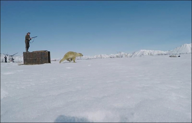서식지에 풀려나는 움카