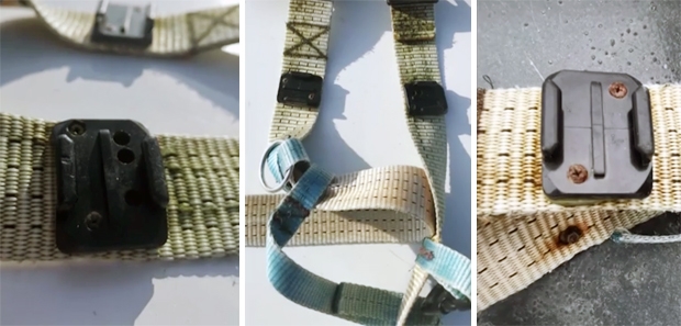 노르웨이 해안에서 발견된 벨루가가 차고 있던 벨트