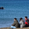 [여기는 남미] 아르헨은 ‘고래천국’...백사장에 앉아 초대형 고래 구경