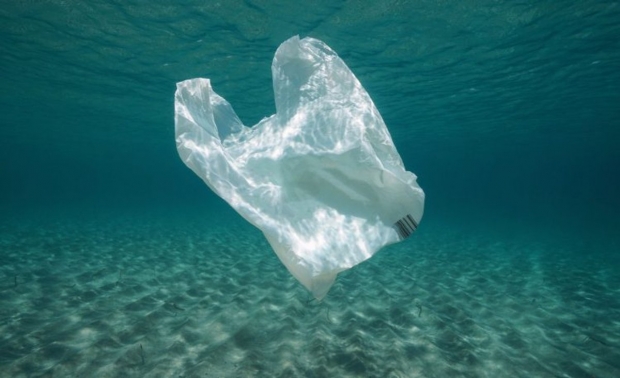 고래들이 바다 속을 떠 다니는 비닐봉지 등 플라스틱 쓰레기를 먹이로 착각하고 삼키는 사례가 다수 보고되고 있다.(사진=방송 캡처)