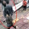 [여기는 중국] 여자친구에게 따귀 52대 맞고도 경찰 연행 말린 남자