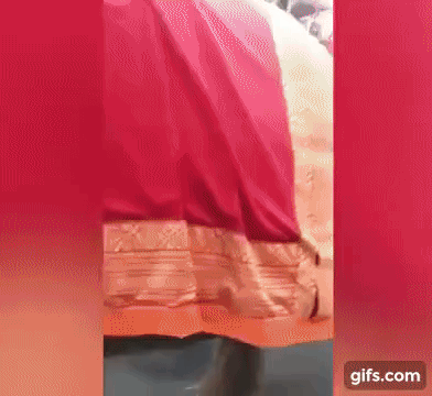 새끼는 겨우 몸을 일으켰지만 투어를 계속해야 하는 어미를 따라 걸음을 옮길 수밖에 없었다