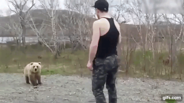 남성이 등을 돌리는 찰나 곰은 재빠르게 남성에게 달려들었고 기겁한 남자는 비명을 지르며 가까스로 차에 몸을 실었다