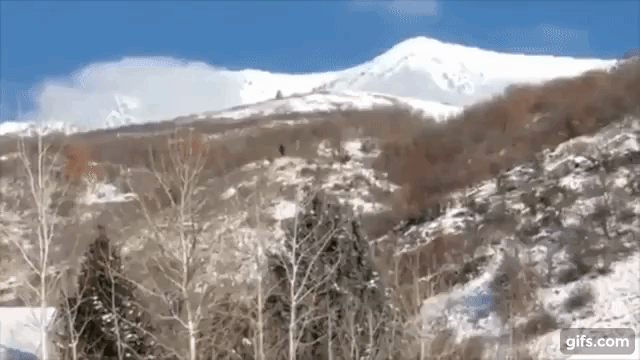 지난 1월 미국 서부 유타주에서도 빅풋을 봤다는 주민들의 목격담이 이어졌다