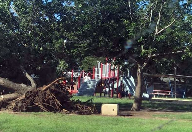 폭풍이 휩쓸고 간 뒤 마을은 쑥대밭이 됐다. 나무는 뿌리째 뽑혔고 지붕이 날아갔다/사진=크리스 멀키