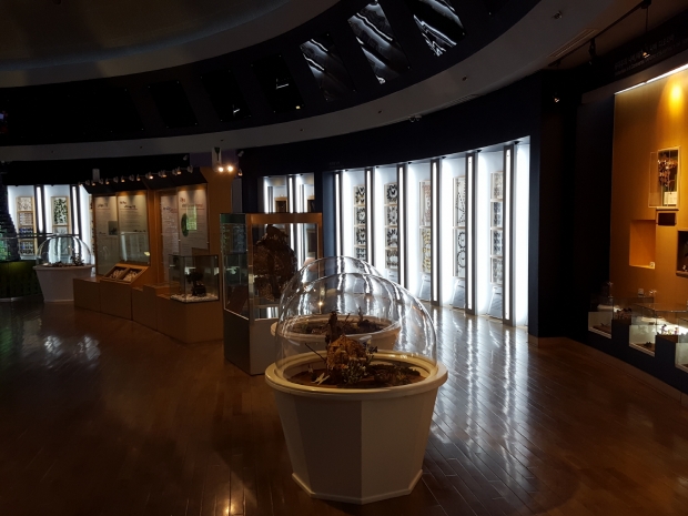 무주 곤충박물관 내의 관람 시설은 학문적 분류표에 의해 체계적으로 구성되어 있다.