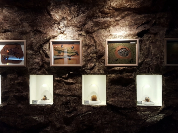 곤충 전시는 해당 곤충의 서식 환경에 맞추어 전시하여 관람객들이 곤충에 대한 이해도를 높일 수 있도록 하였다.