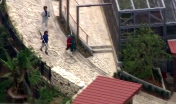 동물원 측은 안전을 위해 임시로 문을 닫고 경찰 및 소방대원들과 함께 달아난 원숭이를 추적하고 있다/사진=ANN 캡처