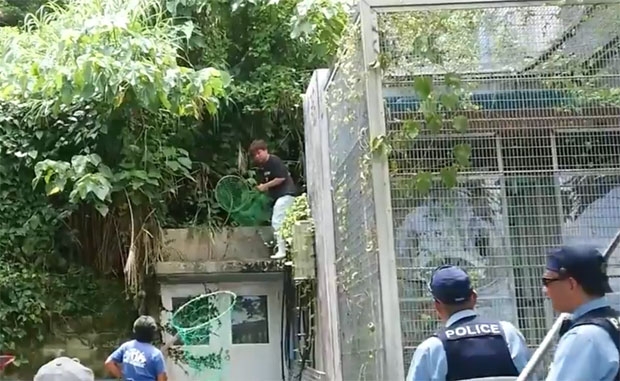 동물원 측은 같은 날 오전 11시 40분경 14마리 중 2마리를 포획한 데 이어 2마리를 더 붙잡았으나 아직 나머지 원숭이 10마리의 소재는 파악되지 않고 있다