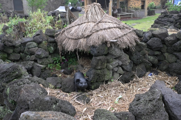 제주도 전통 화장실 모습인 통시를 재현해 놓았다. 이 곳에서 돼지도 같이 키운다
