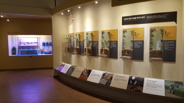 실제 농작물이 생장하는 과정에 대한 이해도를 높이기 위한 전시가 잘 꾸며져 있다