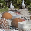 [안녕? 자연] 세계자연유산 태평양 무인도, 인류 탓에 ‘쓰레기 섬’ 됐다