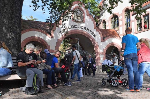 키갈리가 새끼들을 잡아먹은 이유에 대해 라이프치히동물원은 “현재로서는 아무것도 단정할 수 없다”는 입장을 보였다. 다만 야생에서도 어미가 새끼를 잡아먹는 ‘식자증’(食子症)은 흔히 찾아볼 수 있다고 설명했다. 사진은 독일 라이프치히동물원 전경/사진=라이프치히동물원