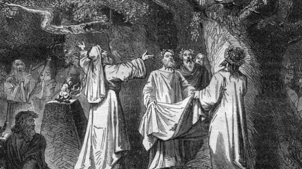 드루이드는 전사귀족들 중 왕을 선출할 권한을 지녀 권력이 막강했다.