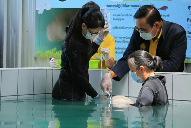 사진=태국 해양해안자원부