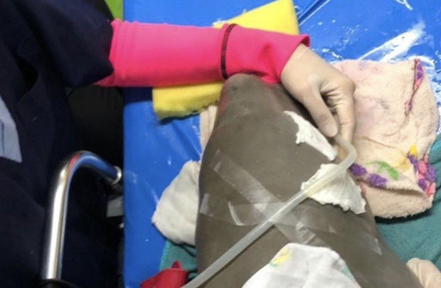 사진=태국 해양해안자원부