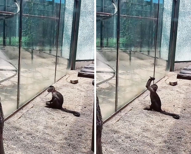 사진=웨이보 캡쳐