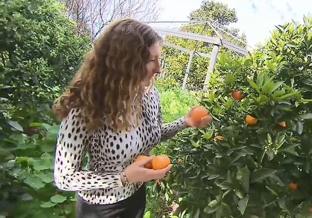 카든과 같은 ‘비건’은 고기는 물론 우유와 달걀 등 모든 동물성 식품을 배제하는 식습관을 가진 완전 채식주의자로, 보통 실크나 가죽 등 동물에게서 원료를 얻은 제품도 사용하지 않는다./사진=9뉴스