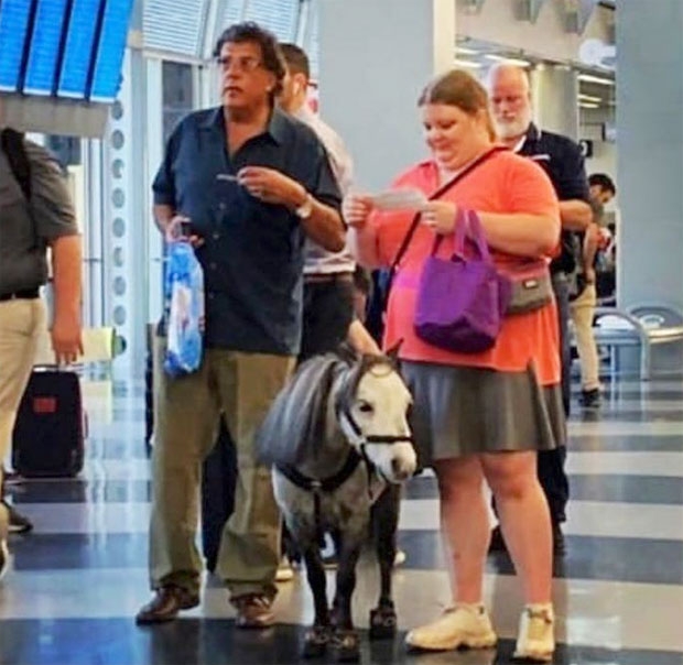 아브레아 헨슬리(오른쪽 여성)는 자신의 정서적 지원 동물 플러티와 함께 여행에 나섰다./사진=플러티 공식 인스타그램