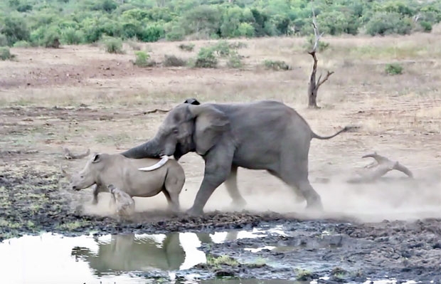 사진=크리슈나 툼말라팔리 인스타그램
