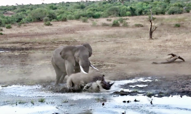 사진=크리슈나 툼말라팔리 인스타그램