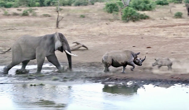사진=크리슈나 툼말라팔리 인스타그램