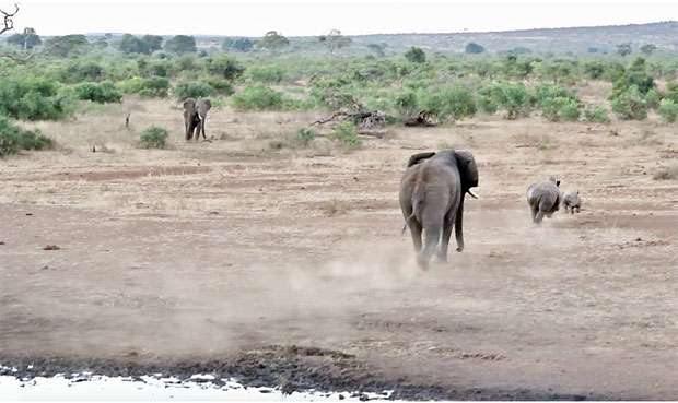 사진=크리슈나 툼말라팔리 인스타그램