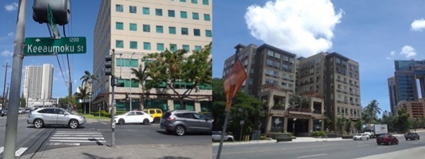 호놀룰루 시 중심가에 소재한 중대형 양로 시설물의 모습