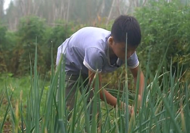 사진=리스핀 캡처