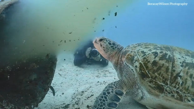 사진=박부건(보라카이윌슨) 인스타그램 @_boracaywilson 제공
